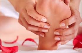 dragana radosevic bb